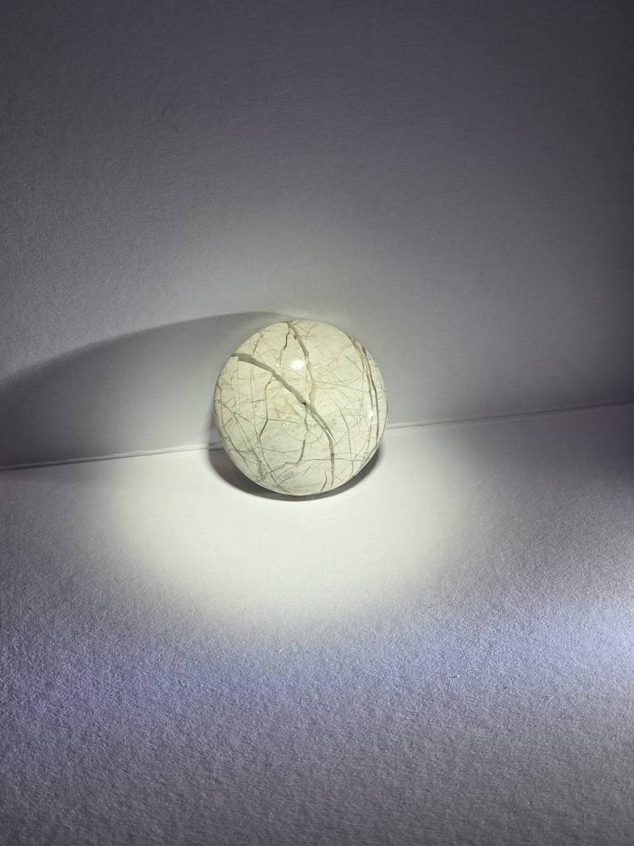 circle brecciated jasper torrey pines — back