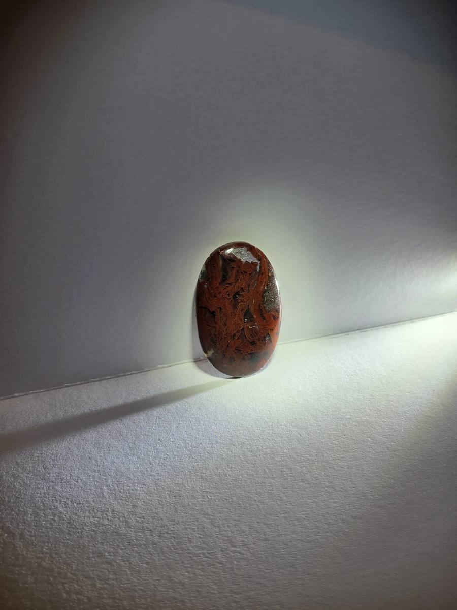 paul bunyan jasper agate oval cab — back